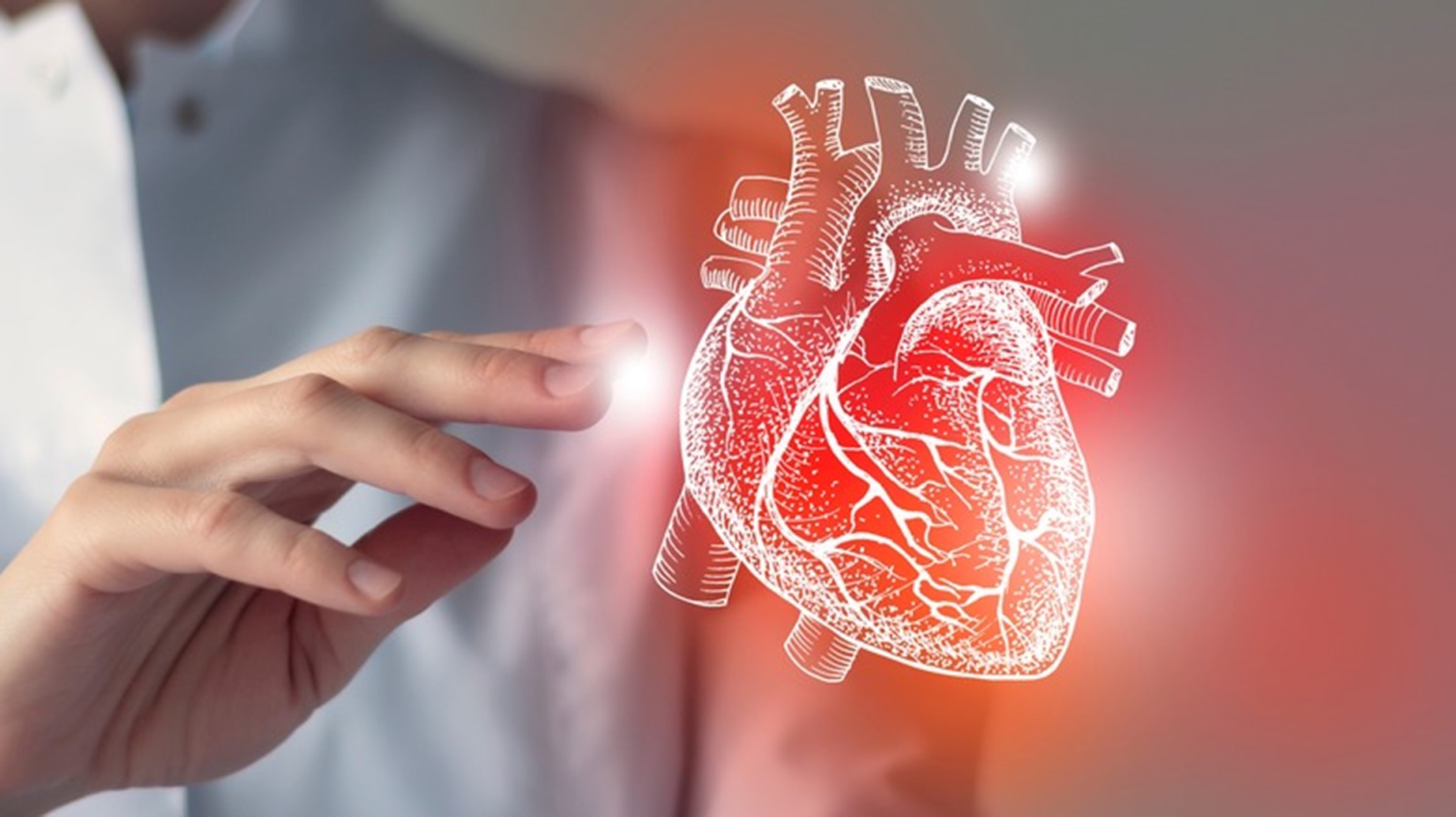 The Function of Cholesterol in Heart Health